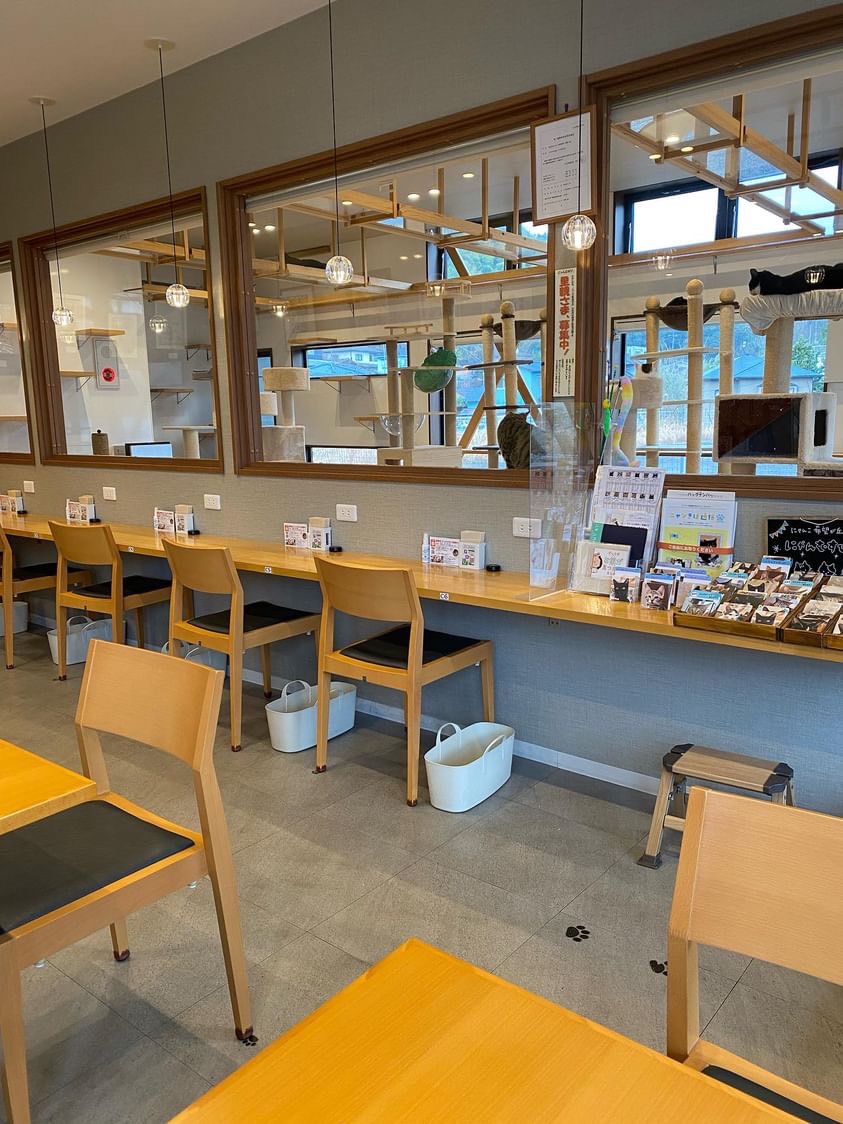 かぎのしっぽ　SAKURAZAKA Cafe