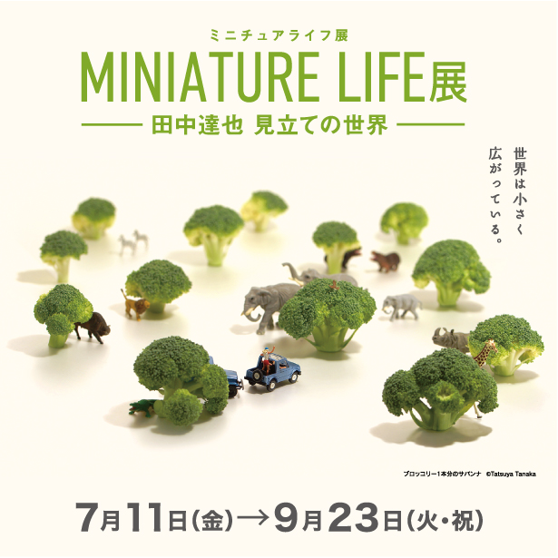 特別展「MINIATURE LIFE展 田中達也 見立ての世界」